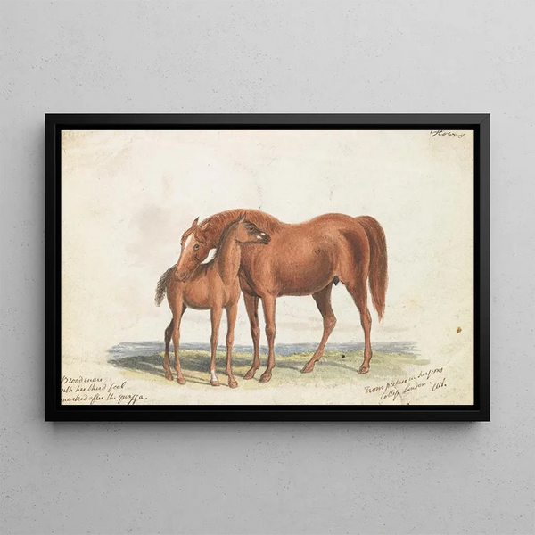 Charles Hamilton Smith - Brood Mare and Third Foal with Marks of Quagga.webp