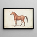 van een meisje met sporen van een quagga - Charles Hamilton Smith — ingelijst kunstwerk aan de muur