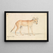 Hond Dhole - Charles Hamilton Smith — ingelijst kunstwerk aan de muur