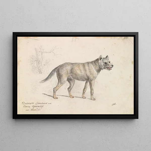 Charles Hamilton Smith - Hoary Aguara Dog.webp