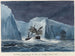 L'Erebus dat door de ijsbergketen vaart - Charles Hamilton Smith — weergave van het kunstwerk