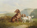 Twee honden - Charles Jones — weergave van het kunstwerk
