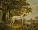 Een Engelse pointer in een landschap - Charles Towne — weergave van het kunstwerk