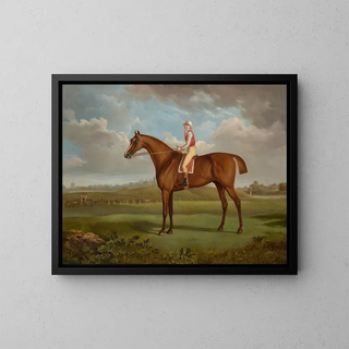 Charles Towne - Mr Charles Taylors chestnut colt Regulus by Young Morwick out of Princess with a jockey up at Chester.webp