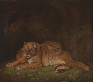 Charles Towne - Tigers.webp
