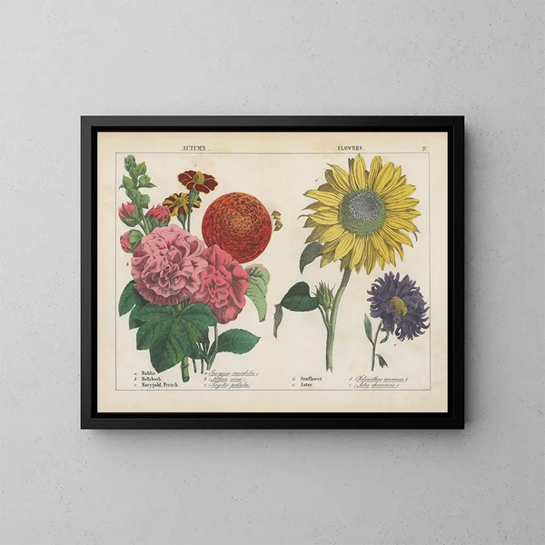 Herfstbloemen - Charlotte Mary Yonge — ingelijst kunstwerk aan de muur