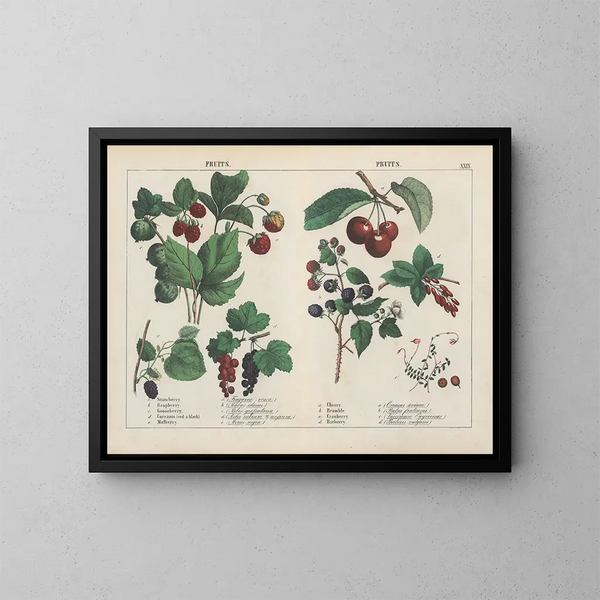 Fruit - Charlotte Mary Yonge — ingelijst kunstwerk aan de muur