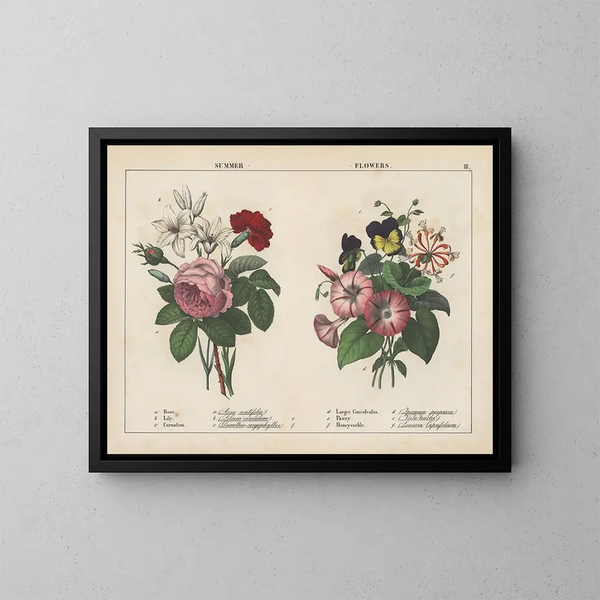 Zomerbloemen - Charlotte Mary Yonge — ingelijst kunstwerk aan de muur