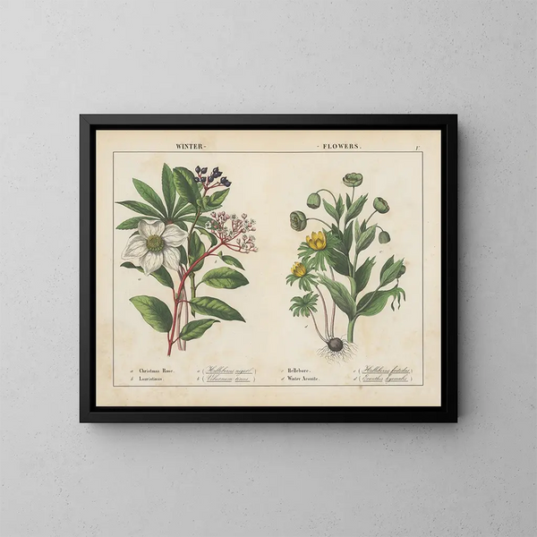 Winterbloemen - Charlotte Mary Yonge — ingelijst kunstwerk aan de muur