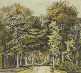 Chemin à travers un bois de hêtres avec un pont en bois devant - Martinus van der Jagt