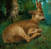 Ree - Gustave Courbet — weergave van het kunstwerk