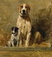 Hond en puppy in een kennel - John Emms — weergave van het kunstwerk