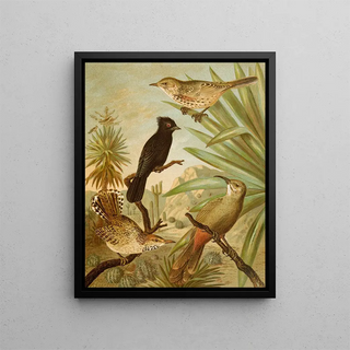 Christian Anton Goering - Die Nordamerikanische Vogelwelt pl03.webp