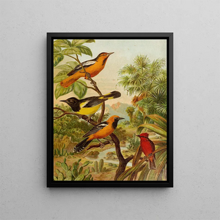 Christian Anton Goering - Die Nordamerikanische Vogelwelt pl31.webp