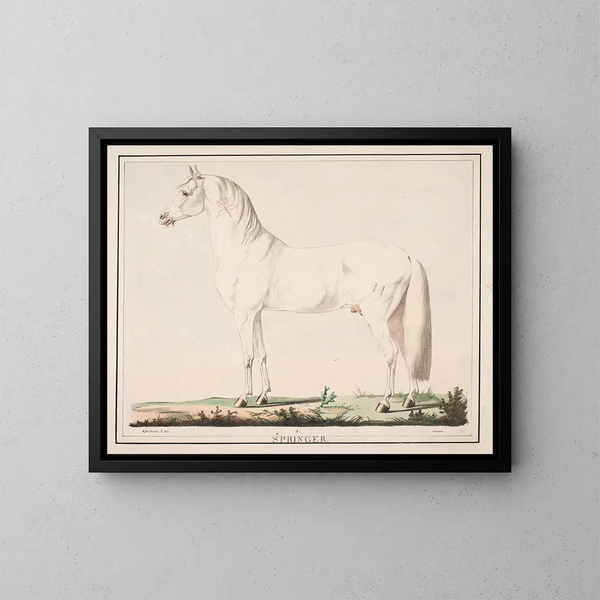 De springende paard - Christian David Gebauer — ingelijst kunstwerk aan de muur