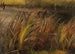 Rozenstaken aan de rand van een herfstbeek - Christian Friedrich Gille — weergave van het kunstwerk