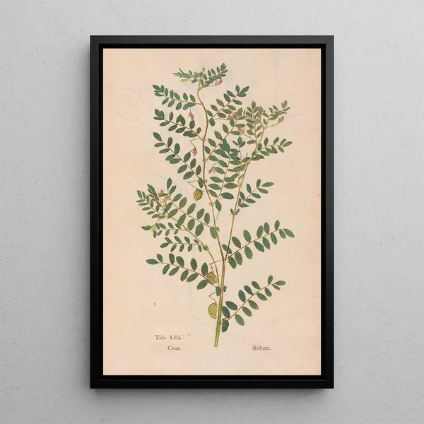 Christian Gottlieb Ludwig - Ectypa vegetabilium Pl053.webp