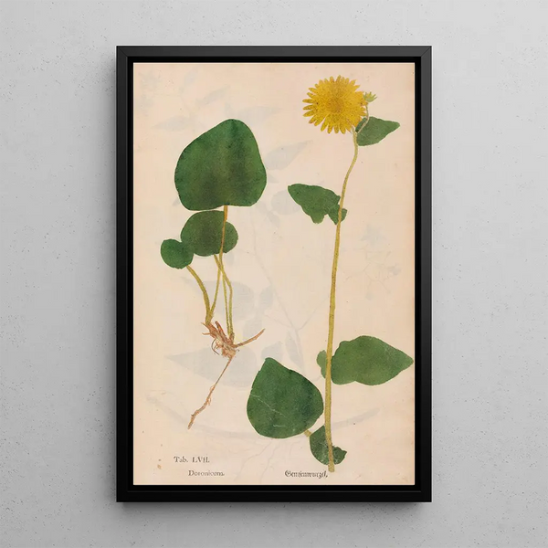 Christian Gottlieb Ludwig - Ectypa vegetabilium Pl057.webp
