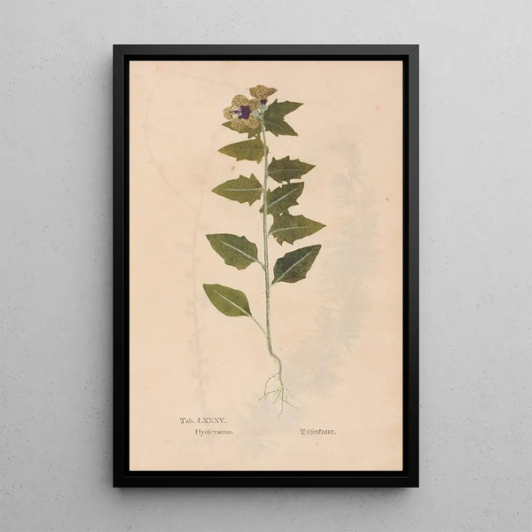 Christian Gottlieb Ludwig - Ectypa vegetabilium Pl085.webp