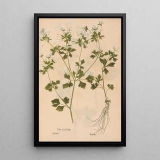 Christian Gottlieb Ludwig - Ectypa vegetabilium Pl180.webp