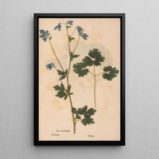 Christian Gottlieb Ludwig - Ectypa vegetabilium Pl181.webp