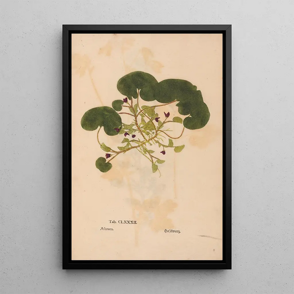 Reproductie van het schilderij Ectypa vegetabilium Pl182 - Christian Gottlieb Ludwig