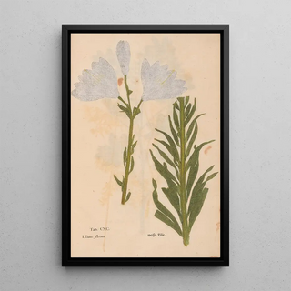 Christian Gottlieb Ludwig - Ectypa vegetabilium Pl190.webp