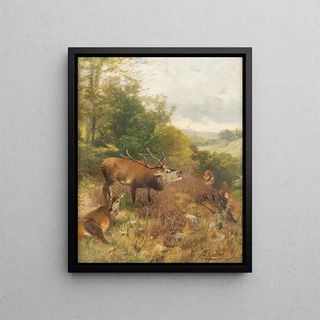 Christian Krner - Roaring stag.webp