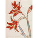 Red Amaryllis Painting - Christian Rohlfs — artwork view