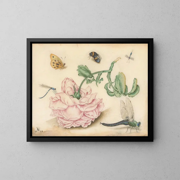Een roos en vijf insecten - Christoffel van den Berghe — ingelijst kunstwerk aan de muur