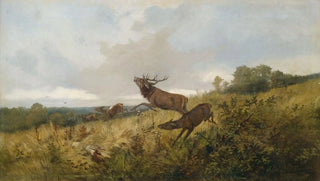 Christoffer Drathmann - Rotwild in herbstlicher Landschaft.webp