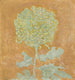 Chrysanthemum - Piet Mondrian — weergave van het kunstwerk