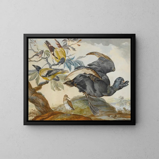 Circle of Aert Schouman - A Duck And Four Other Birds Three On A Branch.webp