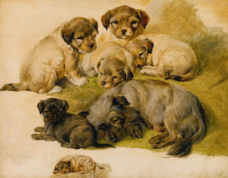 Circle of Sir Edwin Henry Landseer - Study Of A Terrier And Puppies.webp
