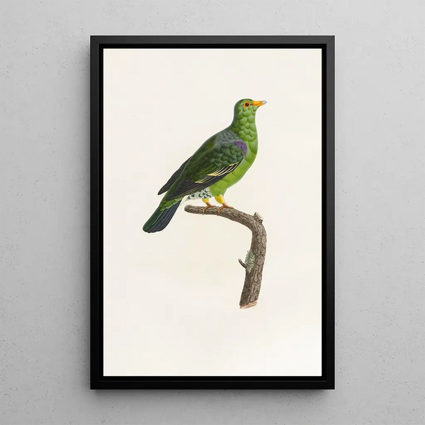 Reproductie van het schilderij De duiven Pl07 - Coenraad Jacob Temminck