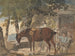 Un paard, een hond en personages voor een cottage - Conrad Gessner — weergave van het kunstwerk