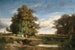 Le Marais - Constant Troyon — weergave van het kunstwerk