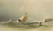 Haven van Bridlington - Copley Fielding — weergave van het kunstwerk