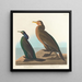 Cormoran green violet - John James Audubon — framed artwork on a wall
