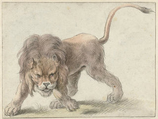 Cornelis Saftleven - Lion.webp