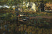 Een boerderijplein - Cornelis Vreedenburgh — weergave van het kunstwerk