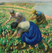 Tulip Pickers Painting - Harold Harvey — artwork view