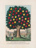 L'Arbre de tempérance - Currier Ives — weergave van het kunstwerk