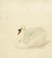 Cygne tuberculé - Aert Schouman — weergave van het kunstwerk