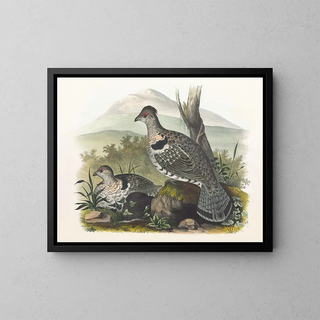 Daniel Giraud Elliot - Artic Ruffed Grouse.webp