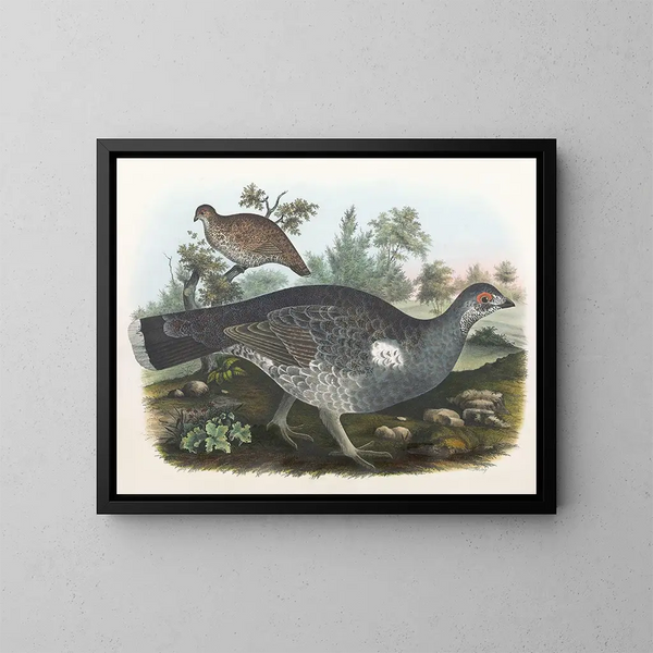 Geelgors met kuif - Daniel Giraud Elliot — ingelijst kunstwerk aan de muur