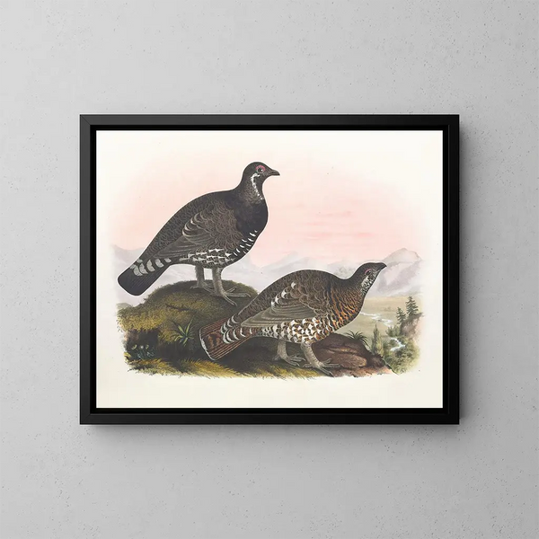 De fazant van Franklin - Daniel Giraud Elliot — ingelijst kunstwerk aan de muur