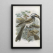 Reproductie van het schilderij Lophoceros nasutus - Daniel Giraud Elliot