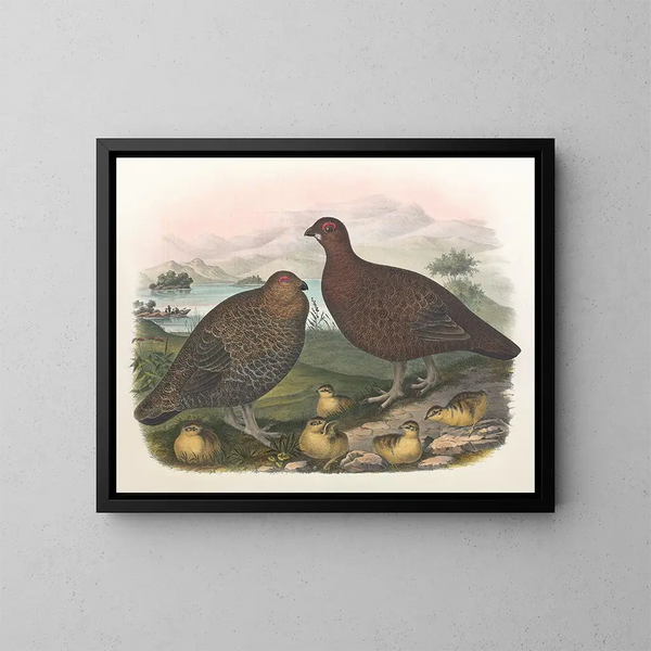 van het Salwegergansje schilderij - Daniel Giraud Elliot — ingelijst kunstwerk aan de muur