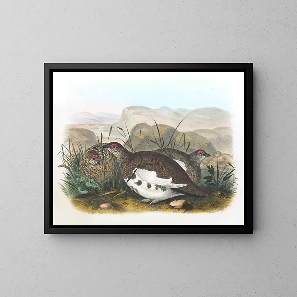 van het Salixlagopède - Daniel Giraud Elliot — ingelijst kunstwerk aan de muur